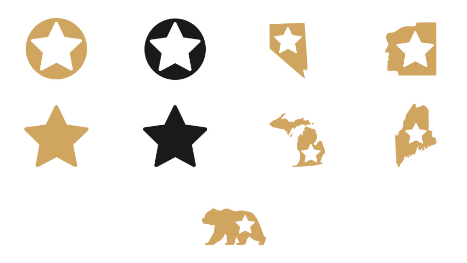 Représentation des symboles REAL ID : Étoile dans un cercle doré, étoile dans un cercle noir, étoile dans la silhouette de l'État du Nevada, étoile dans la silhouette du New Hampshire, étoile dorée, étoile noire, étoile dans la silhouette de l'État du Michigan, étoile dans la silhouette de l'État du Maine et étoile dans la silhouette d'un ours doré.