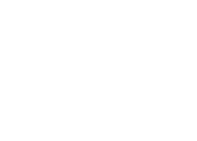 Illustration of a stamp impression with the text "NEW VERSION"